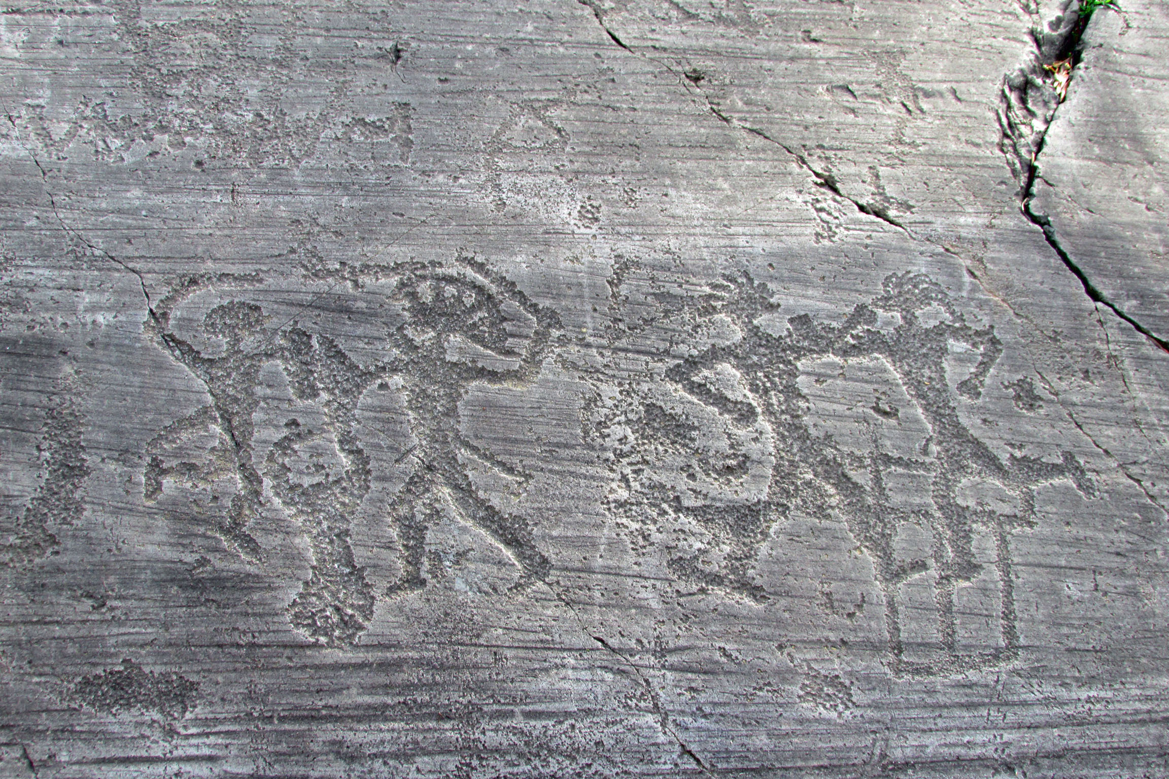 Immagine del luogo Immagine raffigurativa del luogo